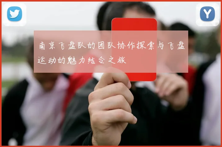 南京飞盘队的团队协作探索与飞盘运动的魅力结合之旅