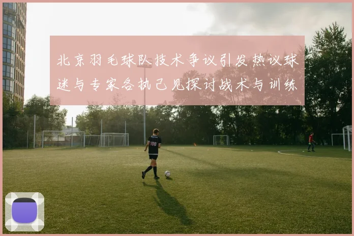 北京羽毛球队技术争议引发热议球迷与专家各执己见探讨战术与训练问题