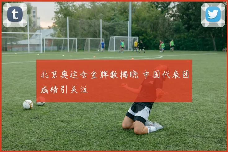北京奥运会金牌数揭晓 中国代表团成绩引关注